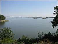 View from many Wilson Point Homes